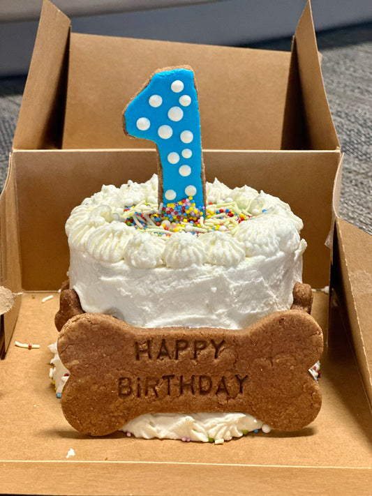 Birthday/Gotcha Day Cake